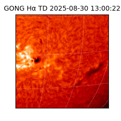 gong - 2025-08-30T13:00:22