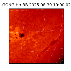 gong - 2025-08-30T19:00:02