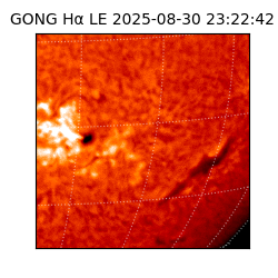 gong - 2025-08-30T23:22:42