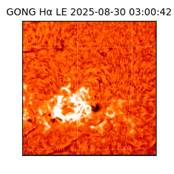 gong - 2025-08-30T03:00:42