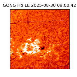 gong - 2025-08-30T09:00:42