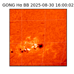 gong - 2025-08-30T16:00:02