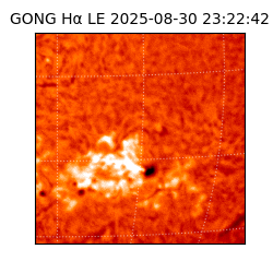 gong - 2025-08-30T23:22:42