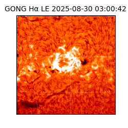 gong - 2025-08-30T03:00:42