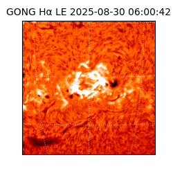 gong - 2025-08-30T06:00:42