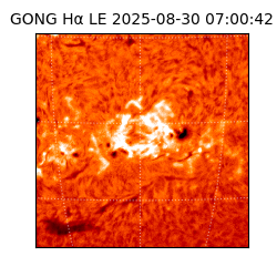 gong - 2025-08-30T07:00:42