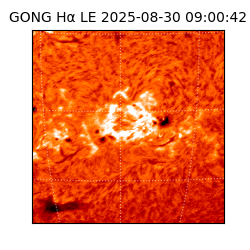 gong - 2025-08-30T09:00:42