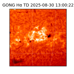 gong - 2025-08-30T13:00:22