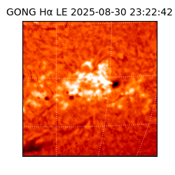 gong - 2025-08-30T23:22:42