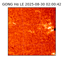 gong - 2025-08-30T02:00:42