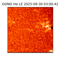 gong - 2025-08-30T03:00:42