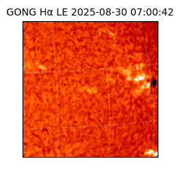 gong - 2025-08-30T07:00:42