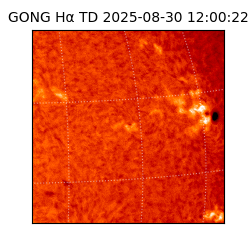 gong - 2025-08-30T12:00:22