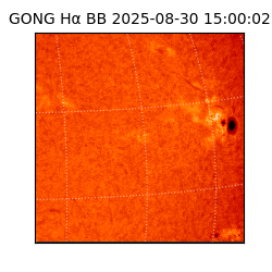 gong - 2025-08-30T15:00:02