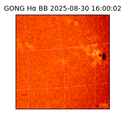 gong - 2025-08-30T16:00:02