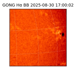 gong - 2025-08-30T17:00:02