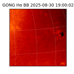 gong - 2025-08-30T19:00:02