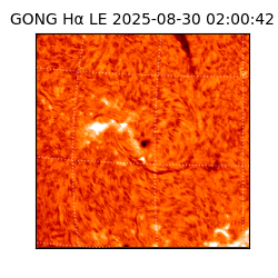 gong - 2025-08-30T02:00:42