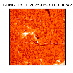 gong - 2025-08-30T03:00:42