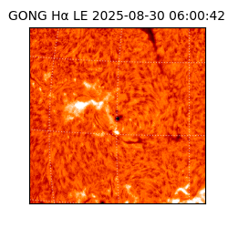 gong - 2025-08-30T06:00:42