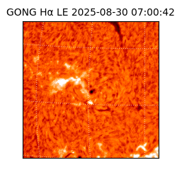 gong - 2025-08-30T07:00:42