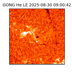 gong - 2025-08-30T09:00:42