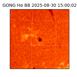 gong - 2025-08-30T15:00:02