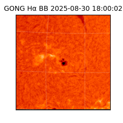 gong - 2025-08-30T18:00:02