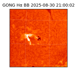 gong - 2025-08-30T21:00:02