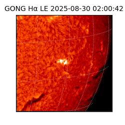 gong - 2025-08-30T02:00:42