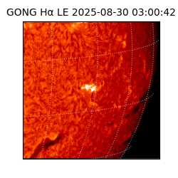 gong - 2025-08-30T03:00:42