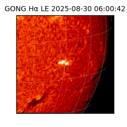 gong - 2025-08-30T06:00:42