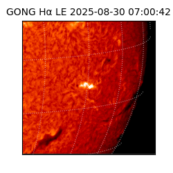 gong - 2025-08-30T07:00:42