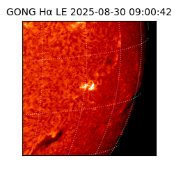 gong - 2025-08-30T09:00:42