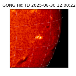 gong - 2025-08-30T12:00:22