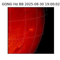 gong - 2025-08-30T19:00:02
