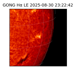 gong - 2025-08-30T23:22:42