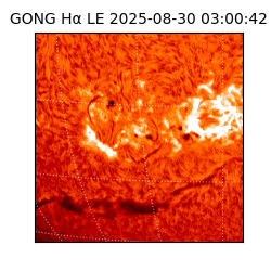 gong - 2025-08-30T03:00:42