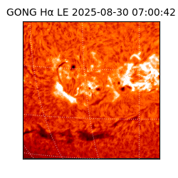 gong - 2025-08-30T07:00:42