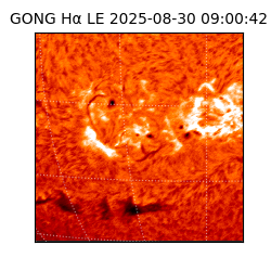 gong - 2025-08-30T09:00:42