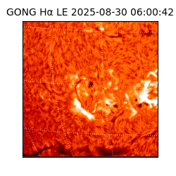 gong - 2025-08-30T06:00:42