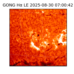 gong - 2025-08-30T07:00:42