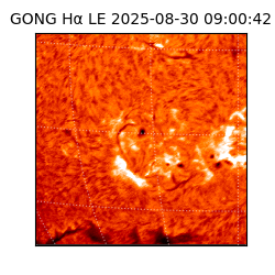 gong - 2025-08-30T09:00:42