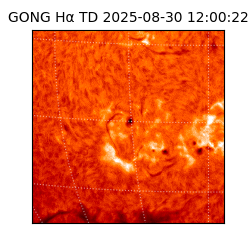 gong - 2025-08-30T12:00:22