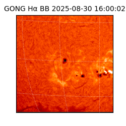 gong - 2025-08-30T16:00:02