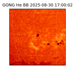 gong - 2025-08-30T17:00:02