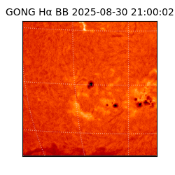 gong - 2025-08-30T21:00:02