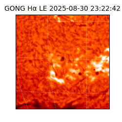 gong - 2025-08-30T23:22:42