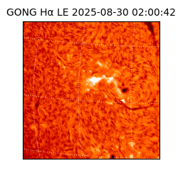 gong - 2025-08-30T02:00:42