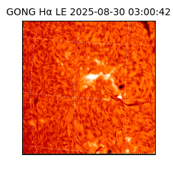 gong - 2025-08-30T03:00:42